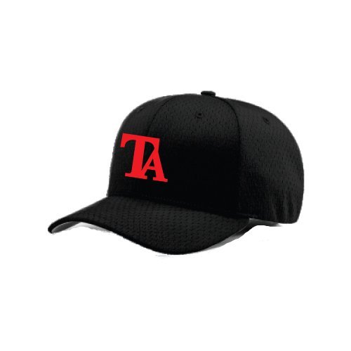 Pro Mesh Cap Fitted