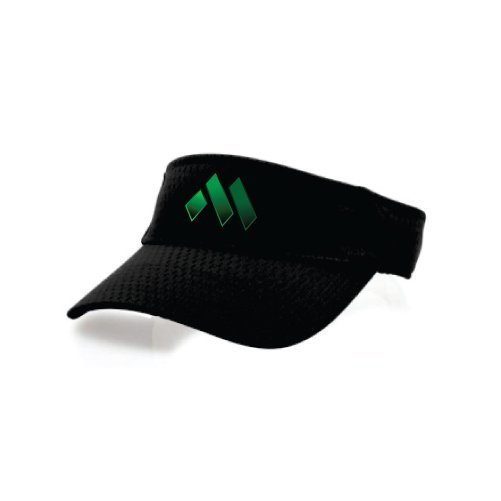 Pro Mesh Visor